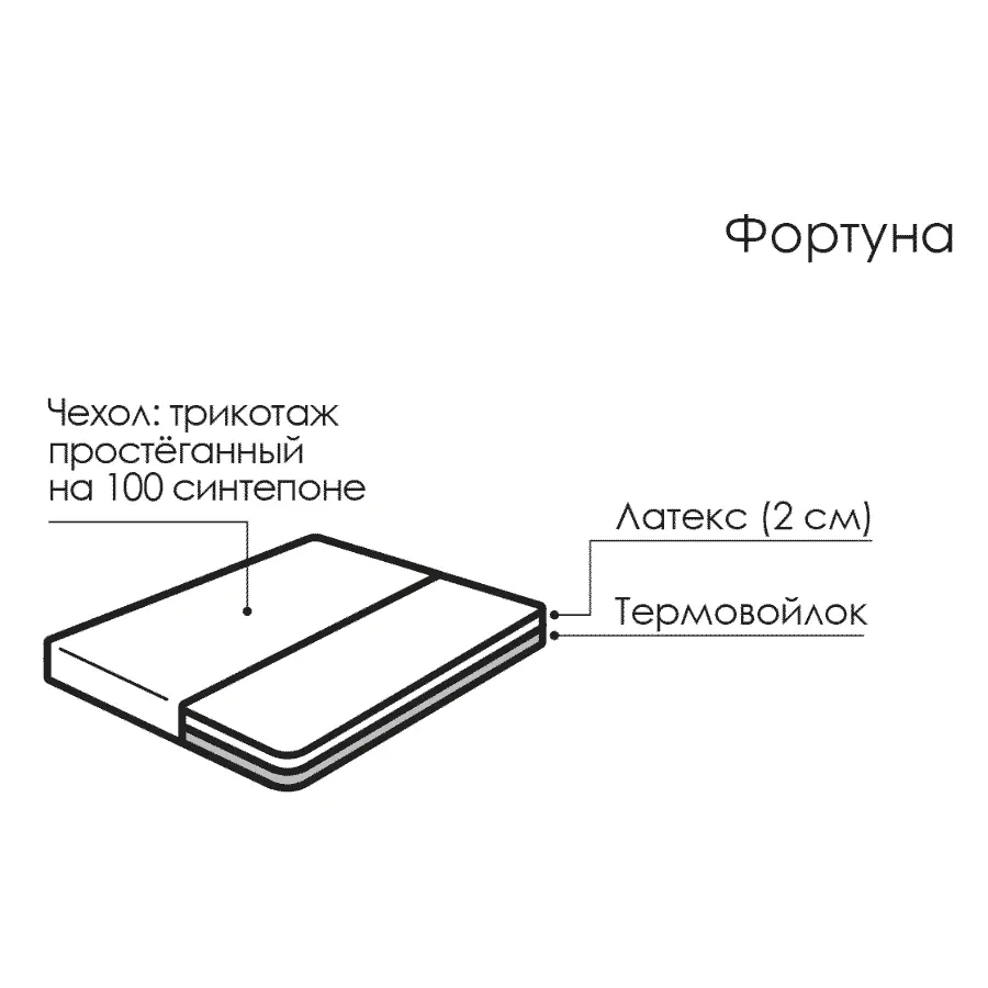 Фортуна - изображение №2
